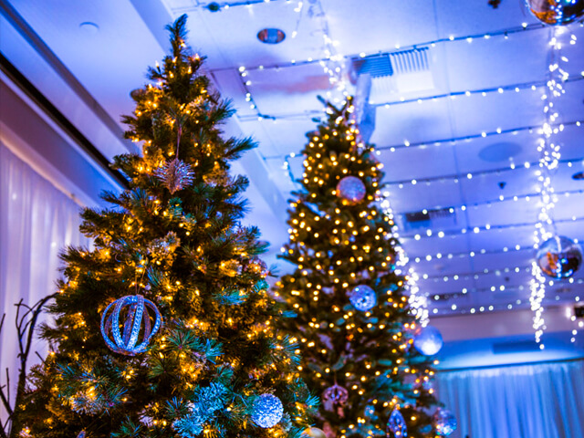 Winter Wonderland decor