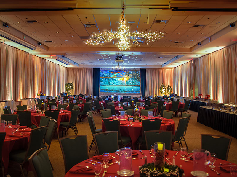 Winter Wonderland decor