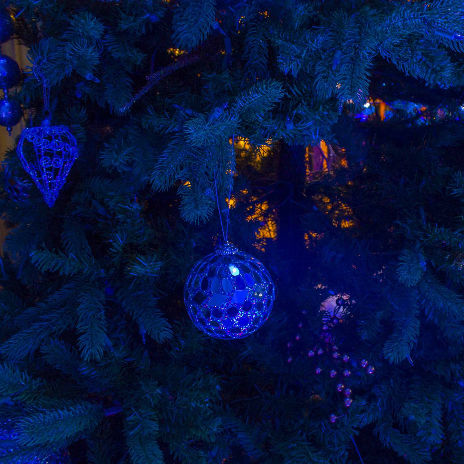 UCI Student Center Event Services Winter wonderland 2022 bg uci-student-center-event-services-winter-wonderland-2022-bg